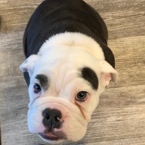 Meet your Posher, Brooke